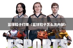 篮球鞋子打理（篮球鞋子怎么洗内部）