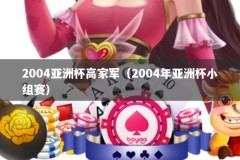 2004亚洲杯高家军（2004年亚洲杯小组赛）