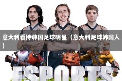 意大利看待韩国足球明星（意大利足球韩国人）