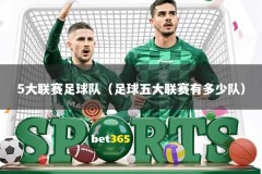 5大联赛足球队（足球五大联赛有多少队）