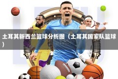 土耳其新西兰篮球分析图（土耳其国家队篮球）