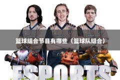 篮球组合节目有哪些（篮球队组合）