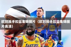 欧冠反手扣篮集锦图片（欧冠反手扣篮集锦图片高清）