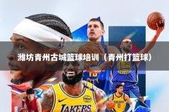 潍坊青州古城篮球培训（青州打篮球）