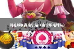 羽毛球联赛南宁站（南宁羽毛球队）