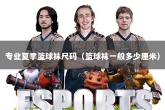 专业夏季篮球袜尺码（篮球袜一般多少厘米）