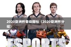 2020亚洲杯晋级图标（2020亚洲杯分组）