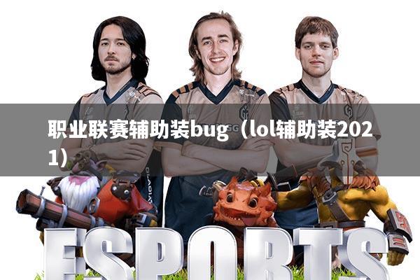 职业联赛辅助装bug(lol辅助装2021)