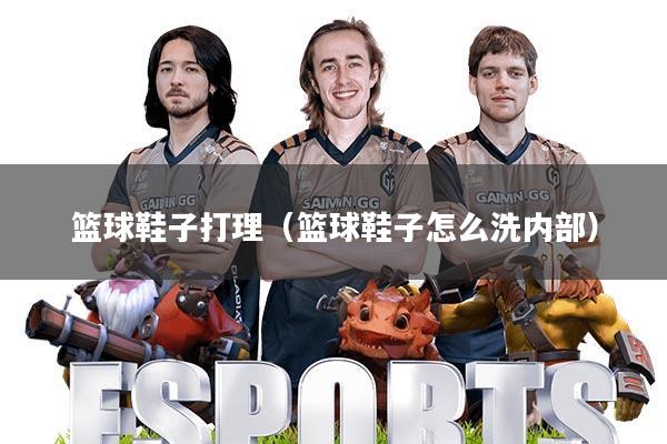 篮球鞋子打理(篮球鞋子怎么洗内部)